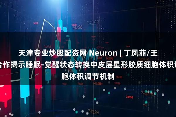 天津专业炒股配资网 Neuron | 丁凤菲/王伟团队合作揭示睡眠-觉醒状态转换中皮层星形胶质细胞体积调节机制