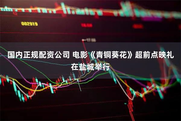 国内正规配资公司 电影《青铜葵花》超前点映礼在盐城举行